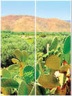 S 2024.jpg