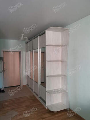 Шкаф купе  Рафаэль 7