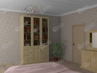 Книжный шкаф  Библиограф 3.7