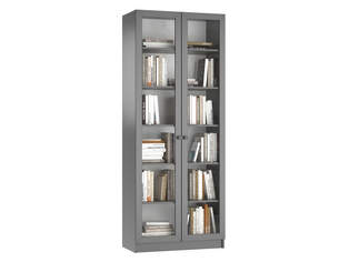 Книжный шкаф Ньютон 2.1