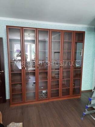 Книжный шкаф Гала 5.1 