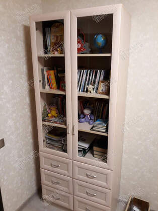 Книжный шкаф Библиограф 2.5