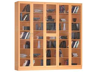 Книжный шкаф Гала 5.1 