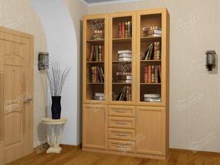 Книжный шкаф  Библиограф 3.8