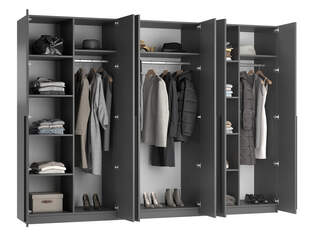 Шкаф распашной Лорена Пакс 11