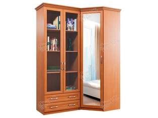 Книжный шкаф Карина 6