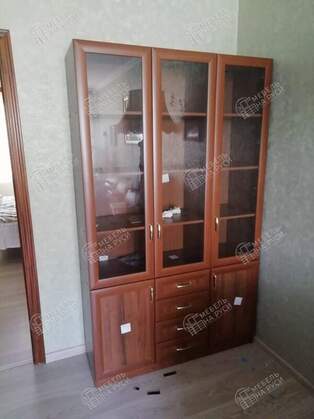 Книжный шкаф  Библиограф 3.8