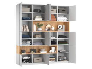 Шкаф распашной Рокки 10