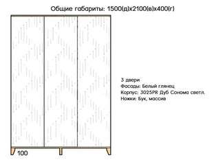 Шкаф распашной Сканди 11