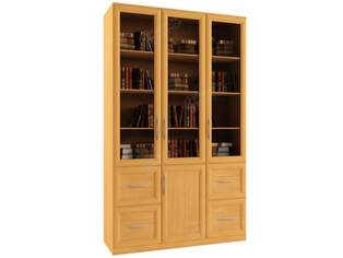 Книжный шкаф  Библиограф 3.5