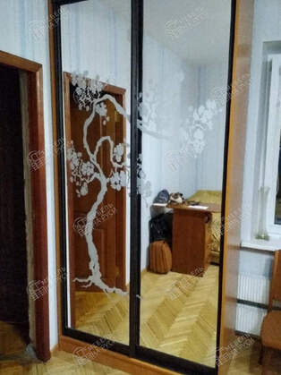 Шкаф купе Лагуна  25