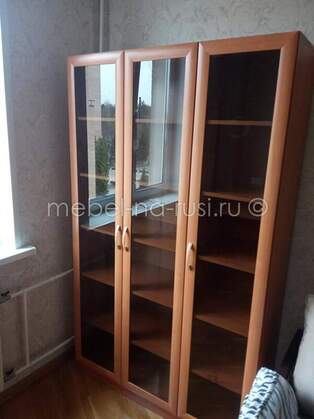 Книжный шкаф  Библиограф 3.1