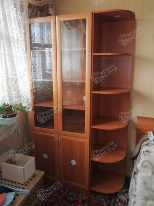 Книжный шкаф Библиограф 2.3