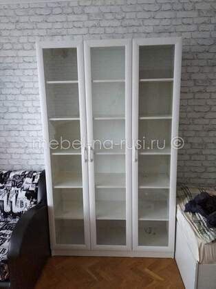 Книжный шкаф  Библиограф 3.1