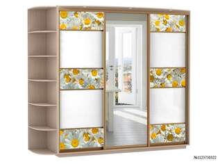 Шкаф купе Фантазия 26 