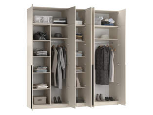 Шкаф распашной Лорена Пакс 10