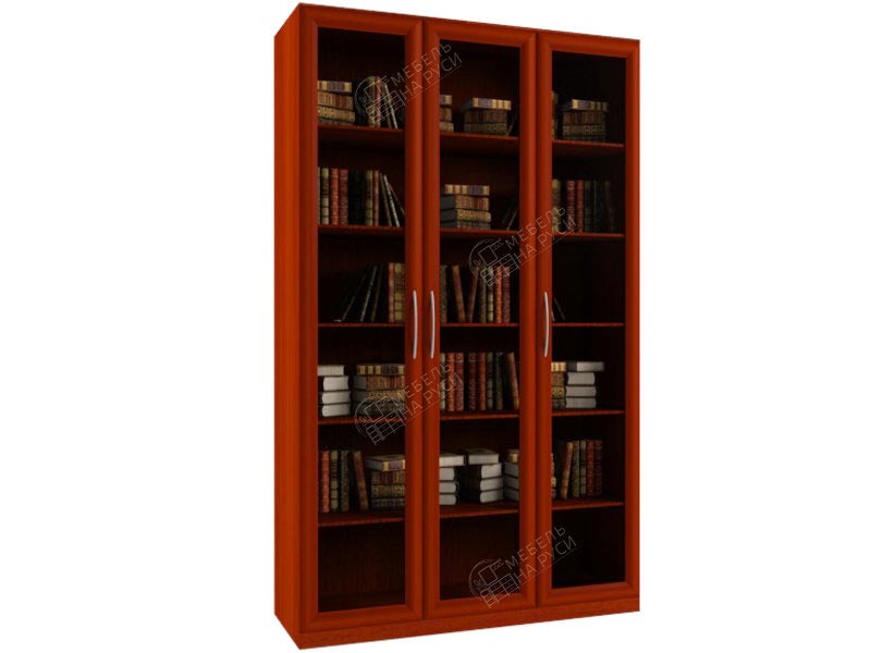 Книжный шкаф  Библиограф 3.1
