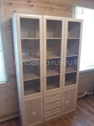 Книжный шкаф  Библиограф 3.8