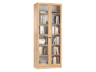 Книжный шкаф Ньютон 2.1