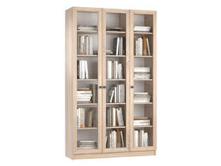 Книжный шкаф Ньютон 3.1