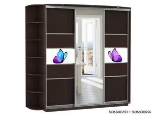 Шкаф купе Фантазия 22 