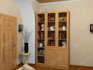 Книжный шкаф  Гала 3.2 