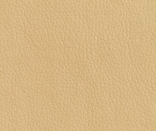 Диван Мегаполис Camel