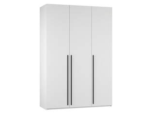 Шкаф распашной Лорена Пакс 3