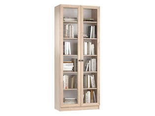 Книжный шкаф Ньютон 2.1