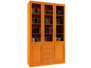 Книжный шкаф  Библиограф 3.8