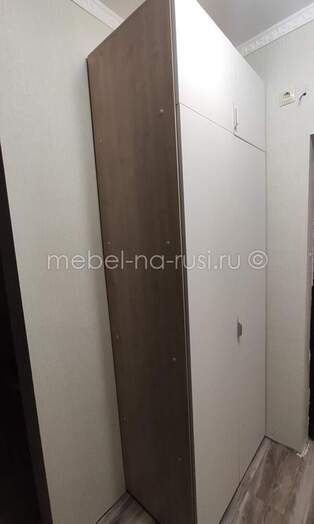 Шкаф распашной Аметист 2