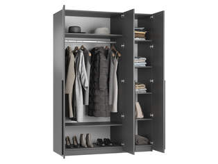 Шкаф распашной Лорена Пакс 3