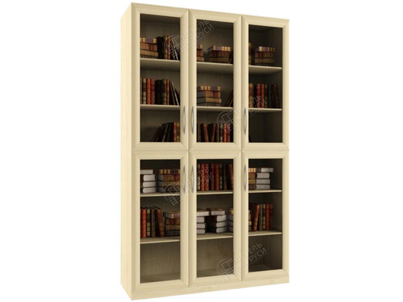 Книжный шкаф Библиограф 3.2