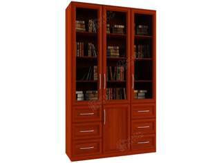 Книжный шкаф  Библиограф 3.7