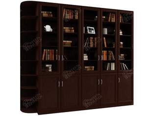 Книжный шкаф Гала 5.5 У 