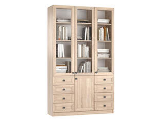 Книжный шкаф Ньютон 3.8